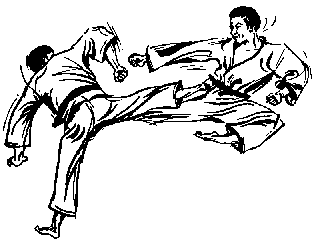 All-Style-Karate